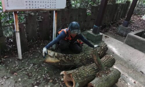 LINE_ALBUM_笛印　住吉神社 宇土市住吉町_230615_10